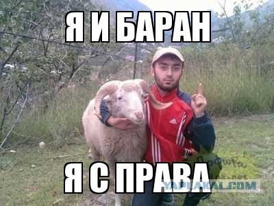 Днем бургерную охраняют, а ночью пристают к несовершеннолетним девочкам