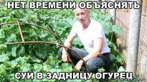 В Москве госпитализировали Елену Малышеву