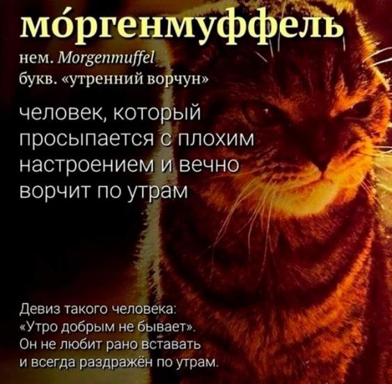 Юмор в картинках 7.11.20