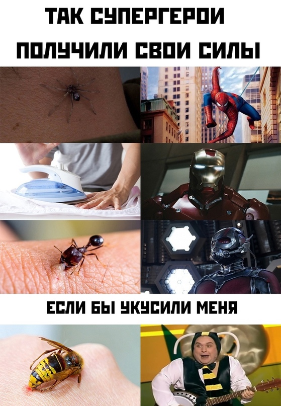Весёлый полтишок 12.07