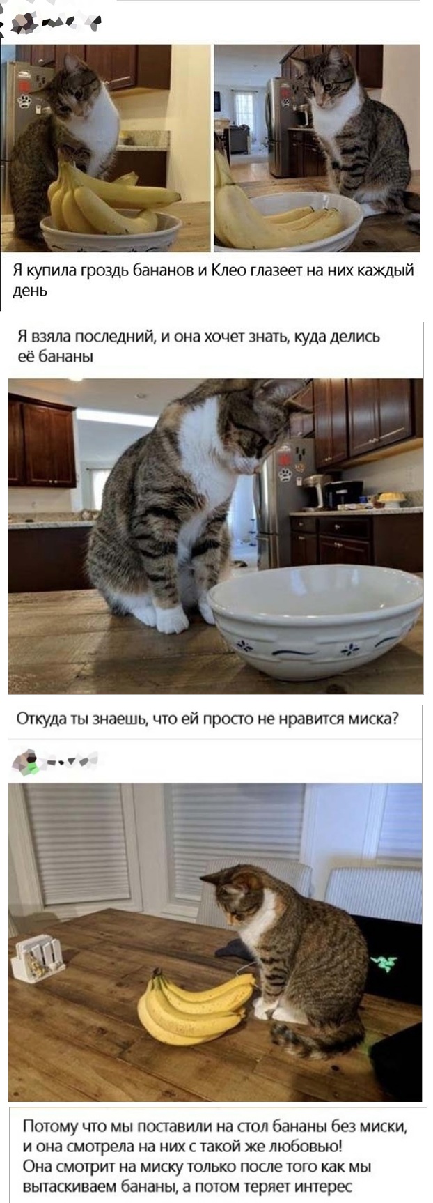 Юмор в картинках 22.08.21