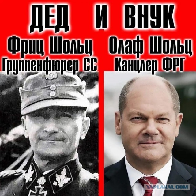 «Шольц – мутный»