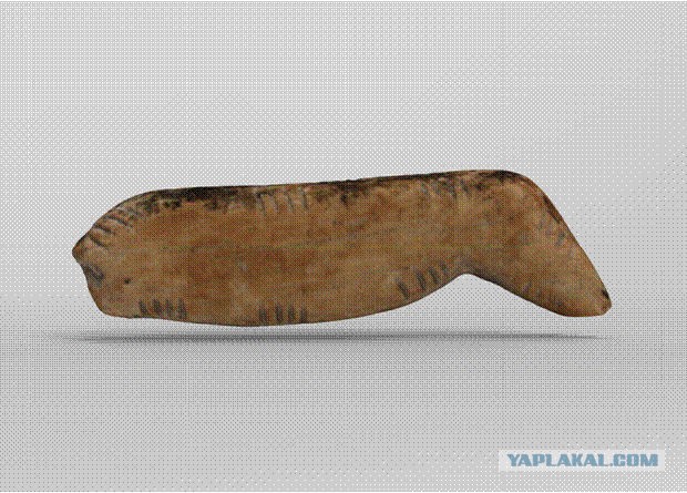 Куда делись коренные обитатели планеты?