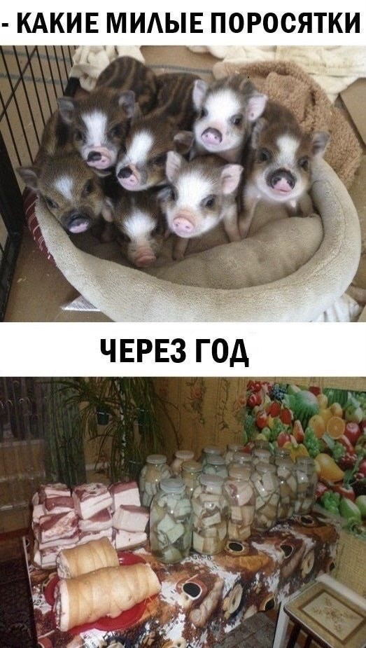 Так себе картинки 17.07.22