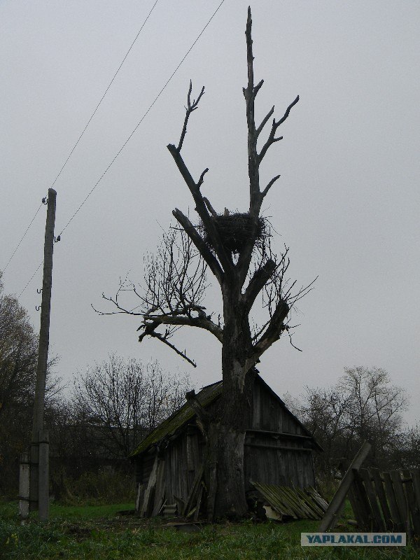 Забытая  людьми деревушка