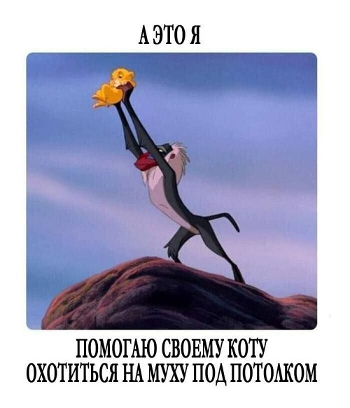 Баяны 10-ти летней выдержки