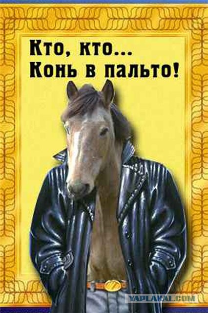 Весь мир в труху. Маразм  крепчает