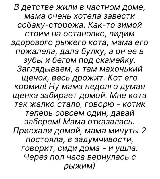 Так себе картинки 24.11.23