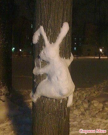 Прикольные и просто красивые картинки 26.01.2024
