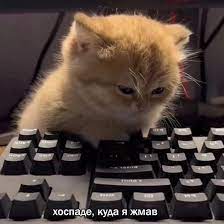 Про компьютерную грамотность.