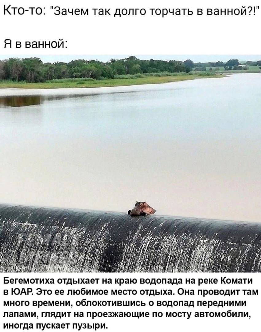 https://s00.yaplakal.com/pics/pics_original/7/4/4/19232447.jpg