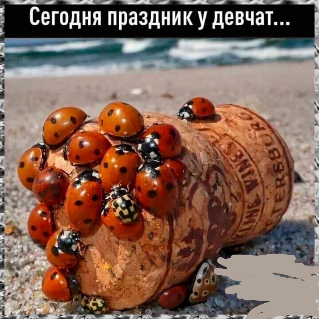 Так себе картинки 08.03.25