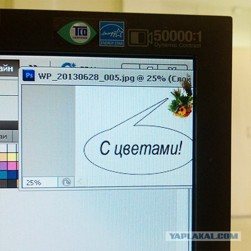 Сегодня на работе, ко мне прилетала муха.