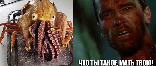 Веселое настроение в картинках (19.08.2025)
