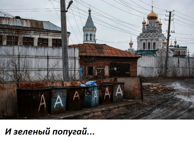 Отличного дня!