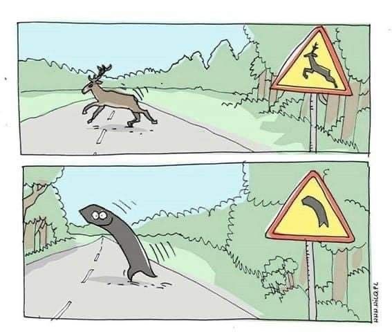 Веселое настроение в картинках (27.04.2026)