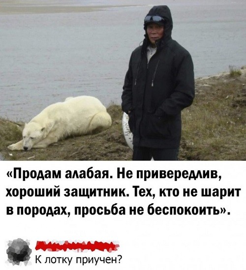 Кхе кхе..
