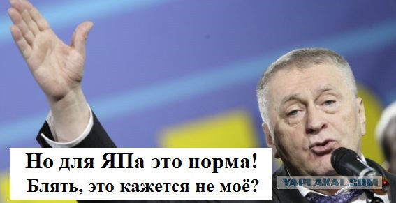 Владимир Вольфович негодует