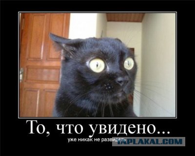 Они такие