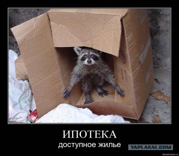 Фотки из интернета.