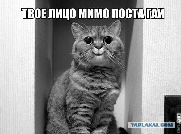 Позитивные картинки
