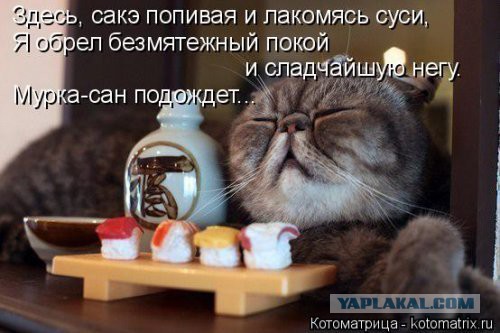 Поднимаем настроение