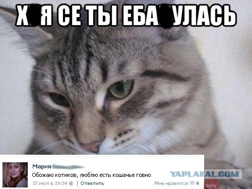 Не юкки ради, улыбки для...