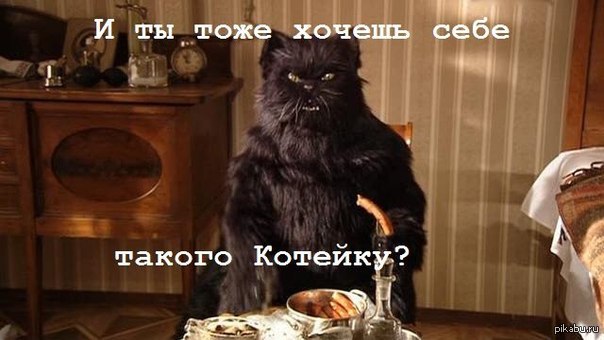 Главный кот Москвы