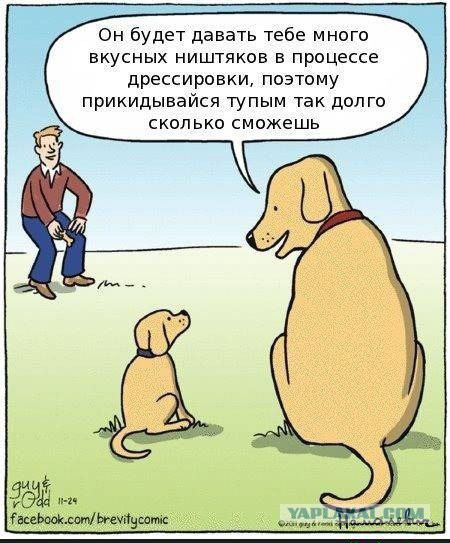Как быстро растут детки