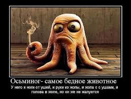 Гиря неваляшка