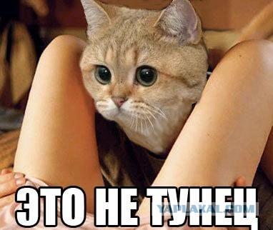 Какими бывают "принцессы" на сайтах знакомств