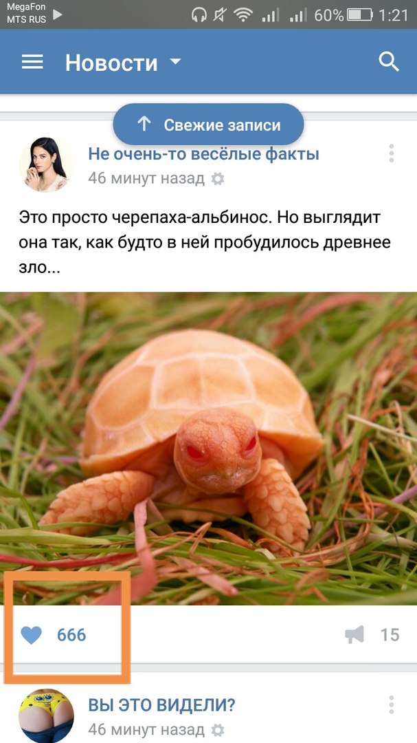 Ужасы и приколы из соцсетей 18+