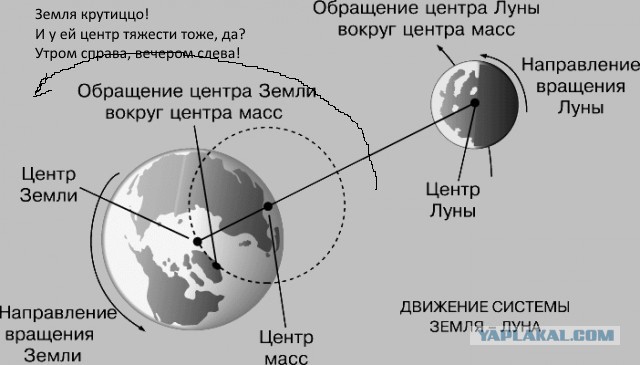 Новая теория эволюции