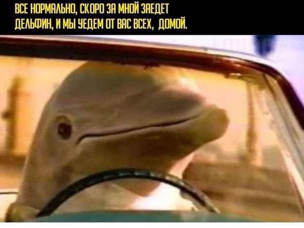 Сборище абсурда