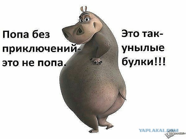 Женщины с большой попой более здоровые и умные