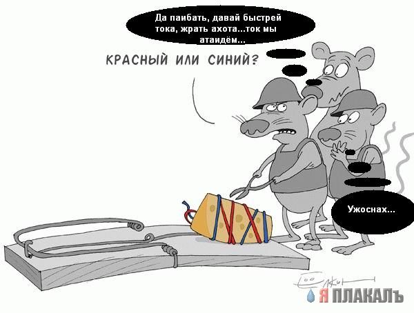 Крысы!!!ааааааааа!!!!!!!!