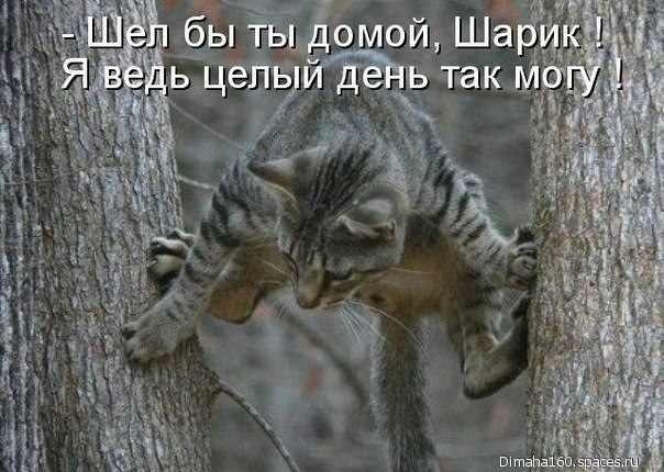 Картинки в черных рамках с подписями