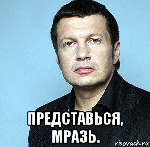 У телеведущего Владимира Соловьева пропали 800 тысяч рублей