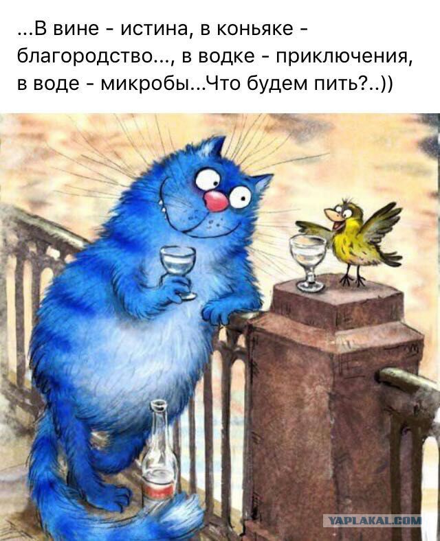 Подборка интересных и веселых картинок
