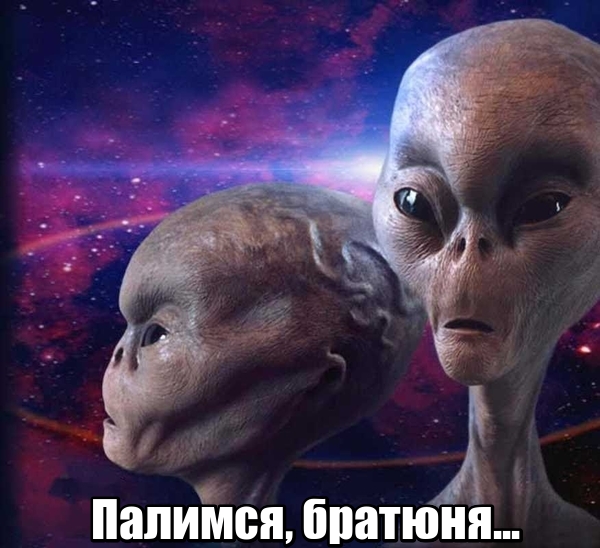 Как выглядят инопланетяне.