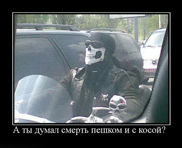 Всякая всячина