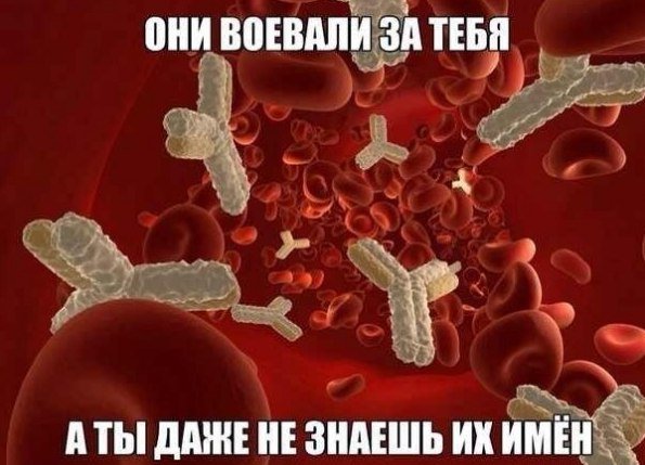 Приколы в стиле "регресс"