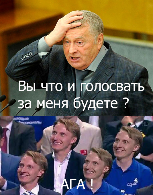 Жириновский: "Дура! Пошла вон!"