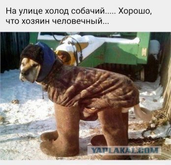 Подборка интересных и веселых картинок