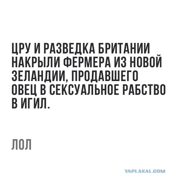 Нестандартный юмор