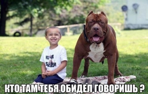 Подборка картинок