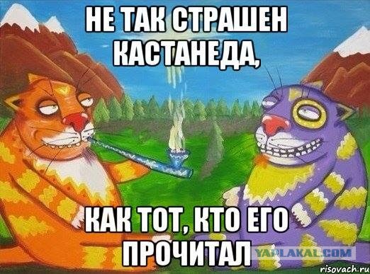Почему не стоит употреблять тарен