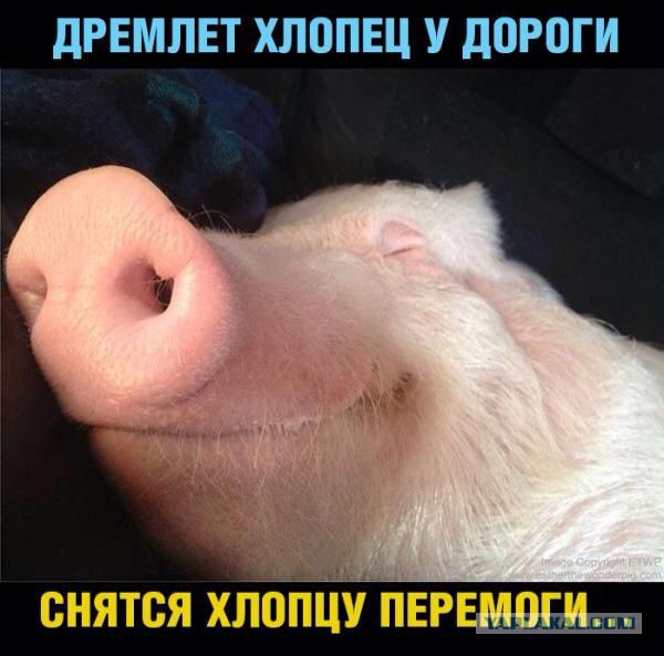 Вон оно чего.