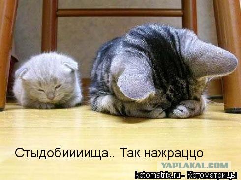 Сонное царство