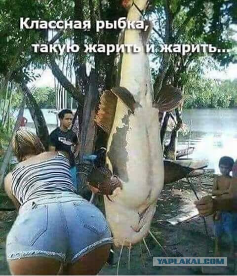 Симпатичные девушки и вкусное мясо